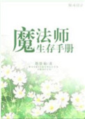 魔法师生存手册